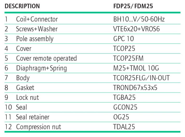 B5 STRAIGHT THROUGH PULS VALVE FD Series